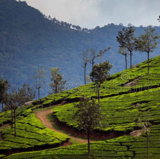 Hello City Taxi Coimbatore