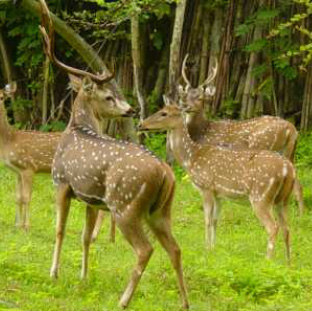 Hello City Taxi Coimbatore