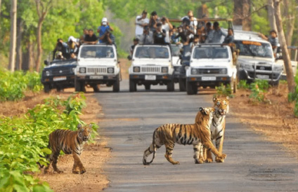 Hello City Taxi Coimbatore