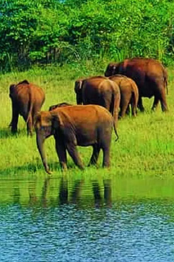 Hello City Taxi Coimbatore