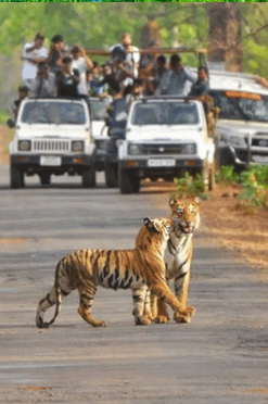 Hello City Taxi Coimbatore